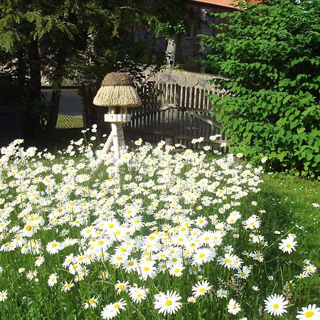 Ferienwohnung Vogel Mustin  Bagian luar foto